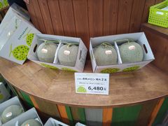 -富田农场