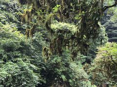 -西岭雪山大飞水景区