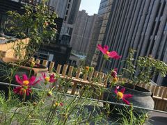 -瓦库茶馆17号(海汇港店)