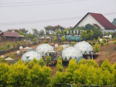 -紫颐香薰山谷景区