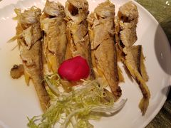 -宋园·金宴浙鲜馆(静安店)