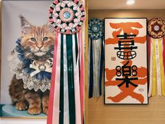-猫十亿·布偶金渐层·曼基康矮脚猫舍(青年路店)