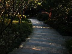 -杭州半山国家森林公园