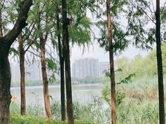 -南翔镇银翔湖公园