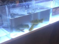 -巴邑火锅·鲜切牛肉(萧山银隆店)