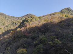 -黑河国家森林公园