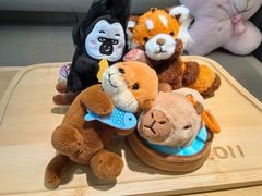 -肯德基(中心书城店)