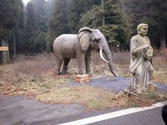 -武陵山森林公园