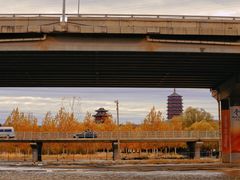 -永定河休闲森林公园