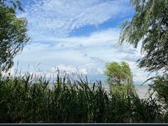 -上海吴淞炮台湾国家湿地公园