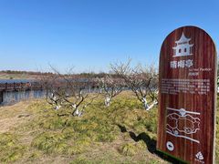 -上海海湾国家森林公园