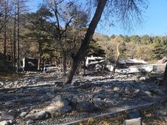 -北京鹫峰国家森林公园