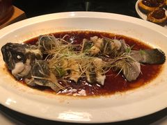 -三号黄浦会Canton Table