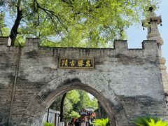 -大槐树寻根祭祖园