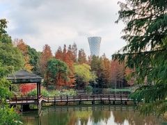 -上海滨江森林公园