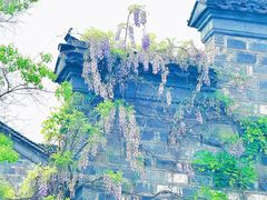 -老门东历史文化街区