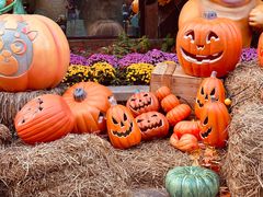 -郑州方特梦幻王国