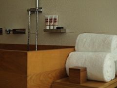 瑜舍STUDIO 95套房-主卧浴室的红景天BAYANKALA-北京瑜舍