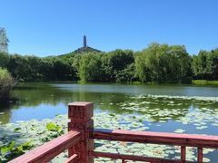 -北坞公园