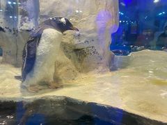 -台州海洋世界