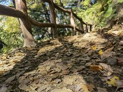 -西安祥峪森林公园