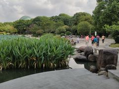 -昆山城市公园
