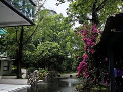 -鱼凫人家