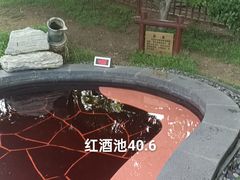 -东海森林温泉
