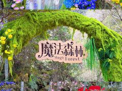 -龙湾潭国家森林公园