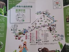 -野象谷景区