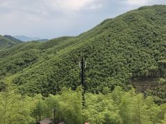 -山沟沟景区