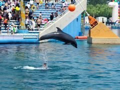 -秦皇岛乐岛海洋王国