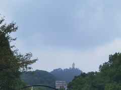 -南山植物园