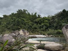 -海南热带雨林国家公园吊罗山景区