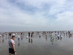 -奉贤海滩
