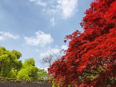 -惠山古镇·寄畅园