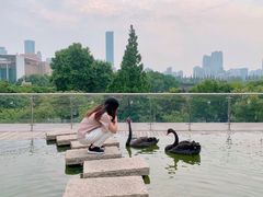 -行者书屋大堂吧 ·下午茶(南京圣和府邸酒店)