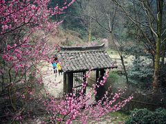 -黄公望隐居地
