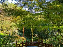 -中国茶叶博物馆(双峰馆区)