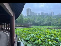 -龙头寺公园