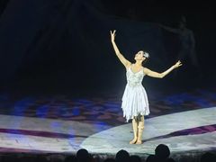 -水秀国际大剧院