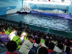 -秦皇岛乐岛海洋王国