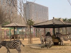 -郑州市动物园