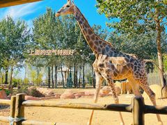 -大连森林动物园