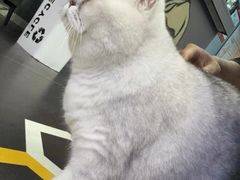 -M.S拳击泰拳馆(大学路店)