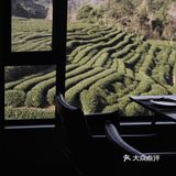 杭州探店 | 就地修仙 藏在绝美茶馆里的小京都