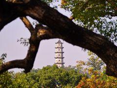 -江心屿景区