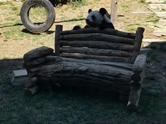 -大连森林动物园