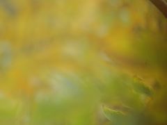 -苏州河梦清园环保主题公园