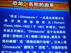 -中国西峡恐龙遗迹园